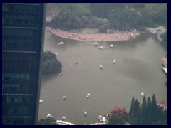 Lizhi Park (Lychee Park) from Shun Hing Square. 